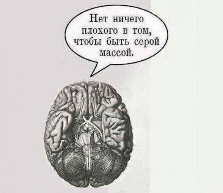 Мозг картинки с надписями, днем рождения максиму