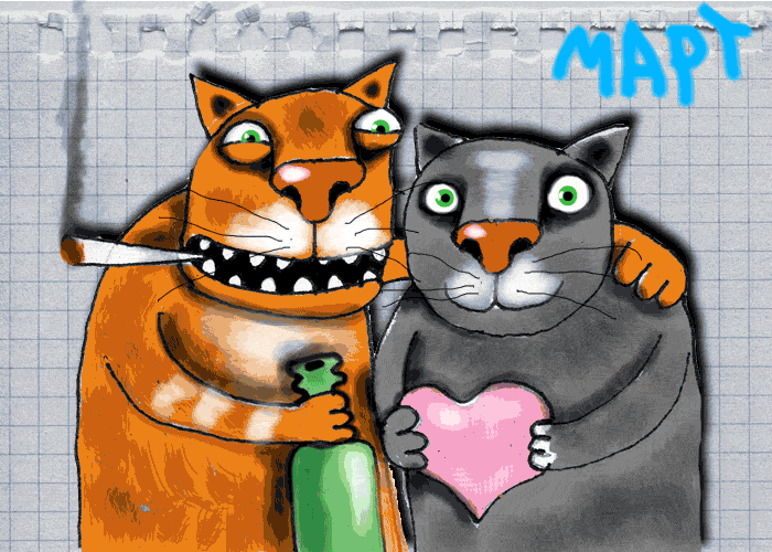 Кошки 9 мая