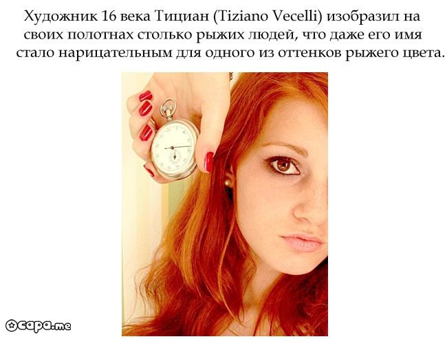 Ревность рыжего цвета