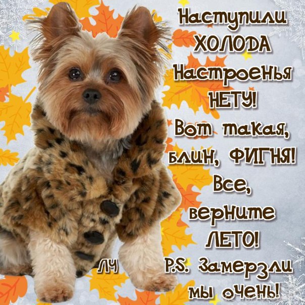 Картинки не мерзни друг