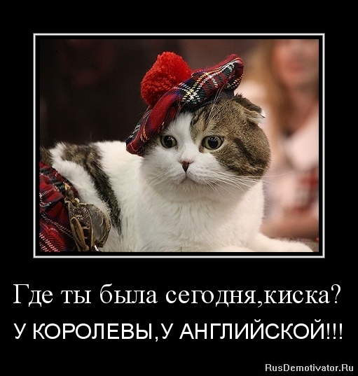 Зеленский начал официальный визит в Великобританию - Цензор.НЕТ 3210