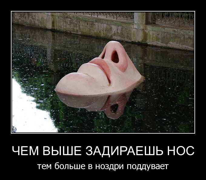 высокомерие картинки прикольные скалистых горах