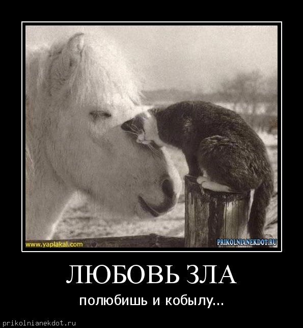 Картинки со словами любовь зла, любовью стихи