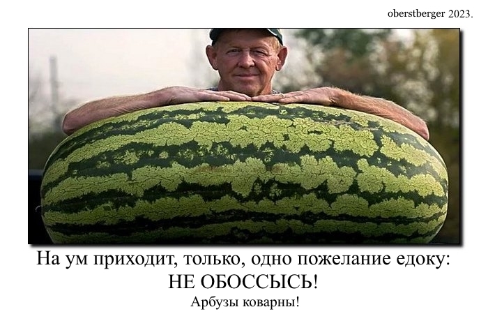 Ответы Mail: А хвостик, у вашего арбуза, ещё не засох?..