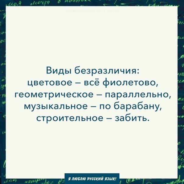 Телеграмм каналы филолог в серой