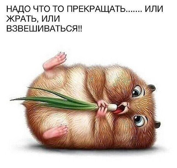 похудеть на 45 кг за 8 месяцев похудеть на 45 кг за 8 месяцев