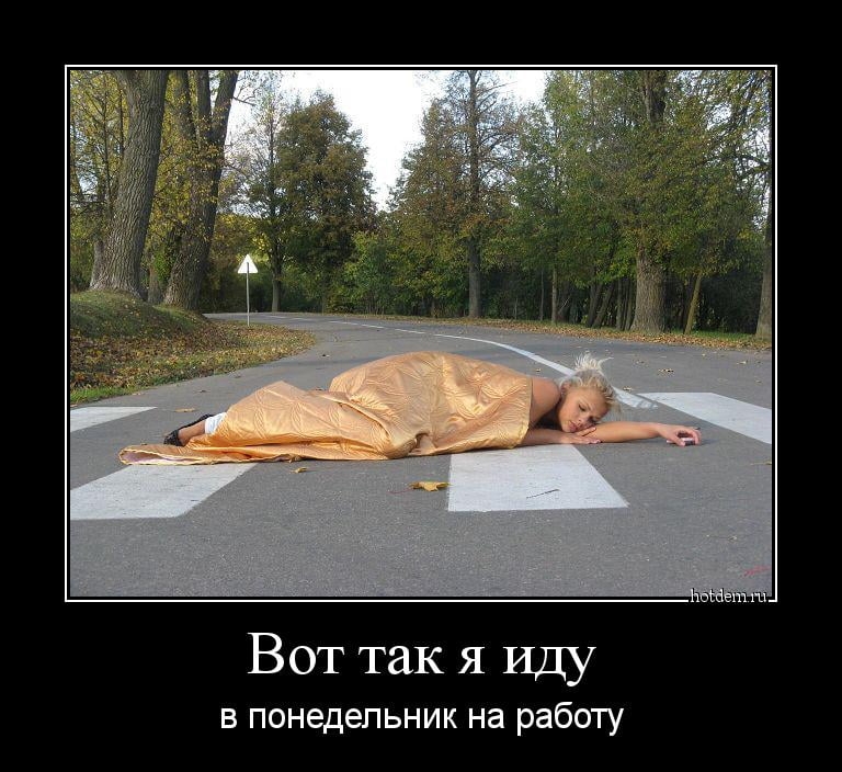 Ты нас не бойся мы тебя тронем картинки - Арт Минск.ру