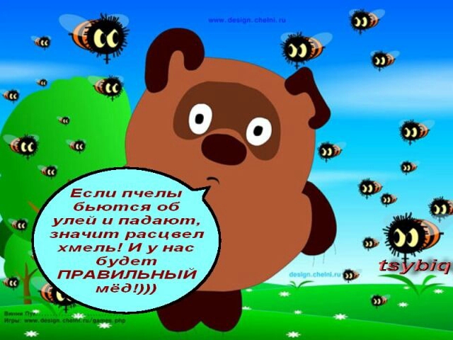 Смешные картинки о меде, рождением