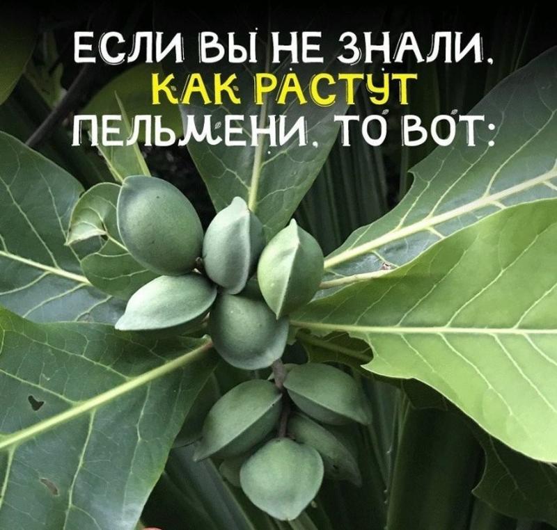 12498310_1e7665fb82236932ddd67d4296a51cf