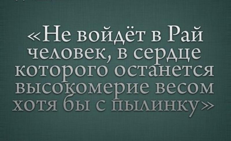 Картинки про высокомерие с надписями, квиллинга февраля
