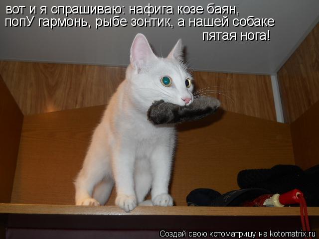 Директора Госбюро расследований должны избрать до июля, - Кабмин - Цензор.НЕТ 8765