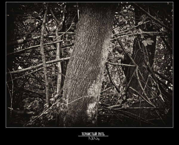 глубокие извилистые мосты. терновый куст арт. извилистый и тернистый путь картинки. тернистый путь картинки. усманов хайдарали - тернистый путь 1.