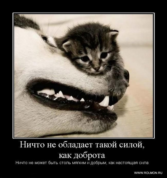 добрые люди картинки онлайн добрые люди картинки