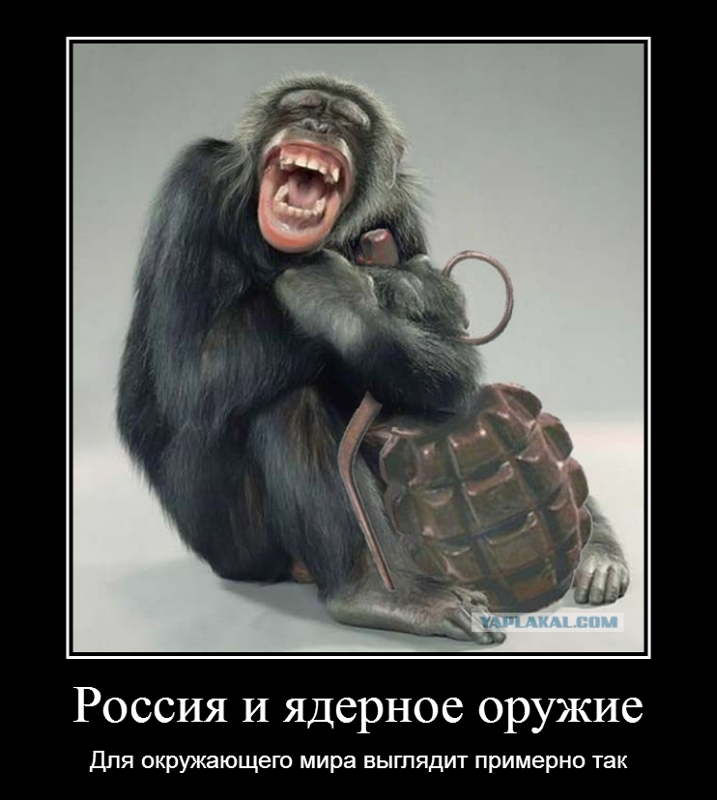 Прикольные картинки обезьян с гранатой
