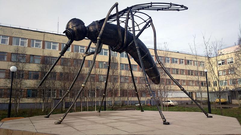 Комар республика коми усинск фото