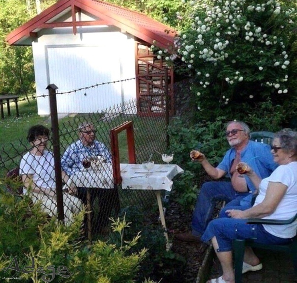Новогодние, прикольная картинка соседей по дому
