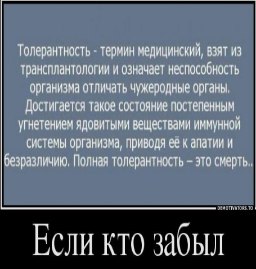 Толерантность В Политике Эссе Толерантность В Политике Эссе