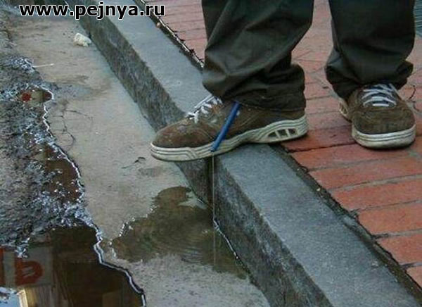 Что сделать чтобы не хотелось в туалет Что сделать чтобы не хотелось в туалет