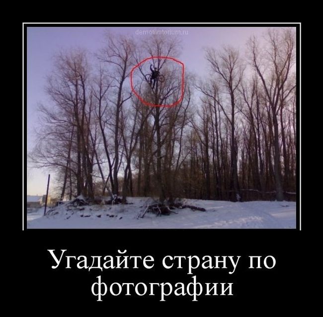 Ответы Mail.ru: Можно ли перевезти скутер на электричке Санкт-Петербург-Будогощь