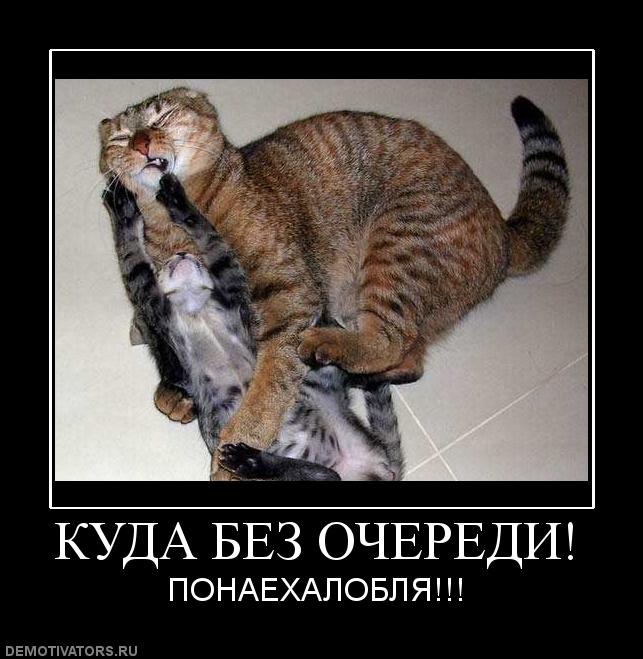 Очередь смешная картинка