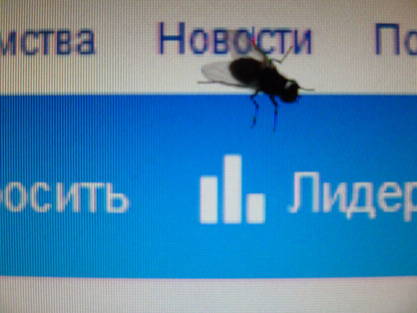 как избавить от неприятного запаха изо рта как избавить от неприятного запаха изо рта