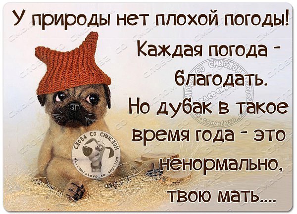 фотографий фотошопе картинка ни че се погодка наименование вида