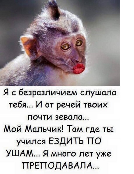 Картинка где ты был