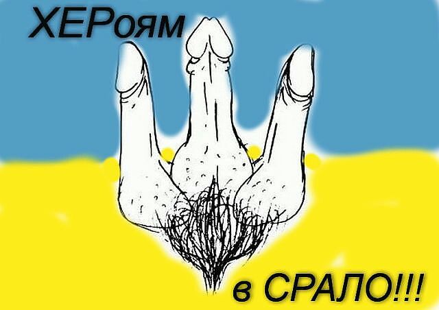 Картинки по запросу флаг украины даун