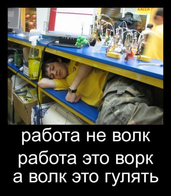 Картинки прикольные работа не волк