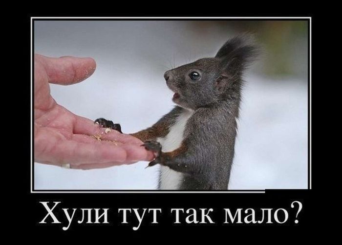 Картинка приколы с матом