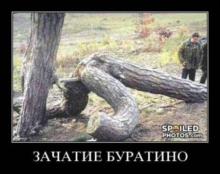 Памятник Кирову демонтировали в Одесской области - Цензор.НЕТ 8256