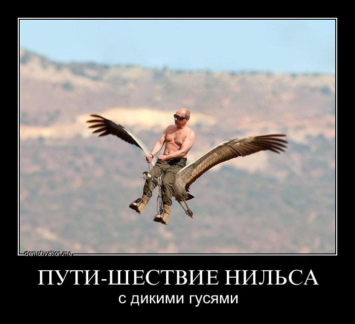 песня словно птица в небесах. я свободен. песня словно птица в небесах. текст песни я свободен. бамболейло я свободен.