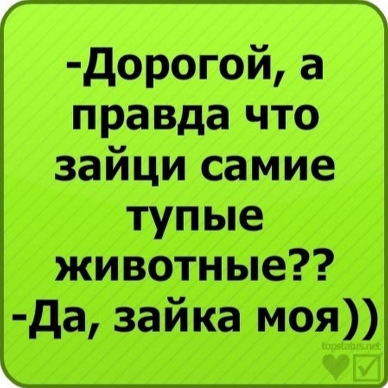 Картинки в статусе в вконтакте прикольные