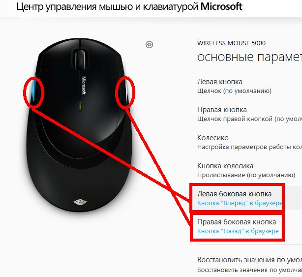 Как настроить кнопки. Клавиши мыши сбоку. Компьютерная мышь основные кнопки сбоку. Для чего нужны кнопки на мышке сбоку и сверху. Левая кнопка мыши.