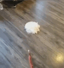 Ответы Mail.ru: Где взять волшебную палочку из «Гарри Поттера», которая ...