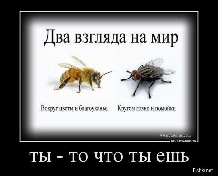 два взгляда на мир картинки юмор сумок
