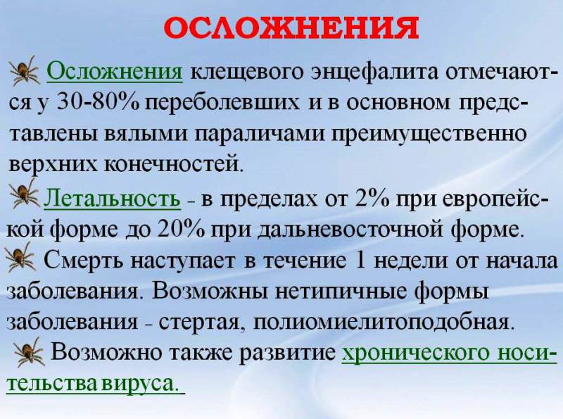 Осторожно, клещи! - Биология - Презентации - 6 класс