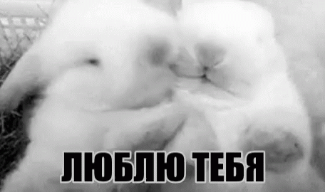 Открыток работа, гифы люблю тебя зая