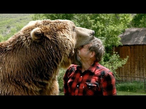 Как выглядит укус медведя