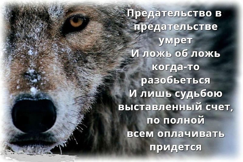 Картинки с стихотворениями измена ложь