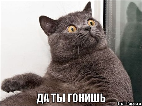 Картинки по запросу да ты гонишь!