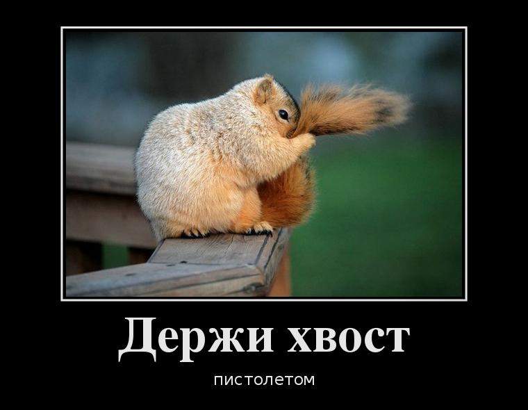 Держись картинки прикольные