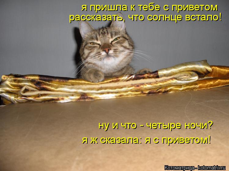 Я пришла к тебе с приветом прикольные картинки