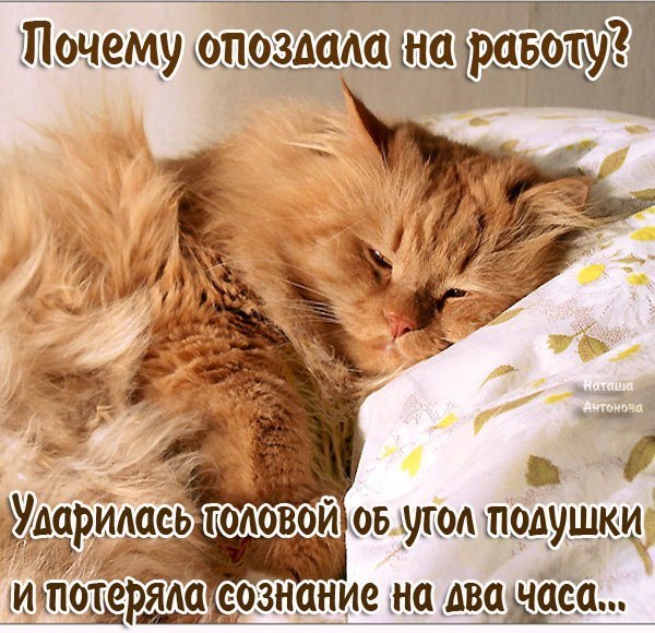 Зайки рисунки, прикольные картинки опоздать на работу