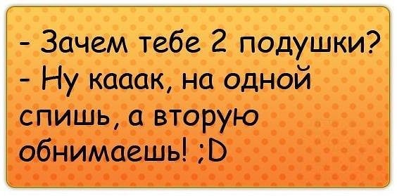 Самые смешные дураки
