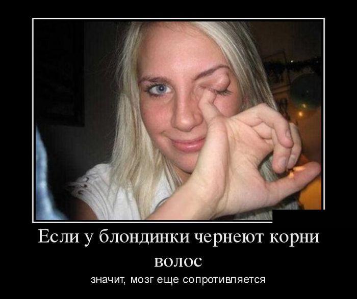 О резине летней замене не простой история - Nissan Qashqai (1G), 1,6 л, 2013 год