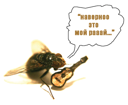 Мухи На Жопе Крупно Мухи на жопе крупно