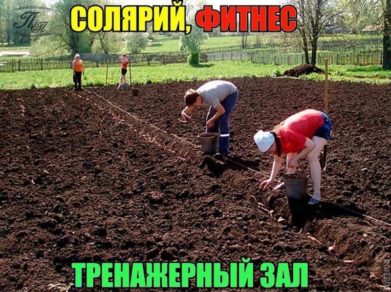 Выходные на даче картинки прикольные, прикольные перец ангел