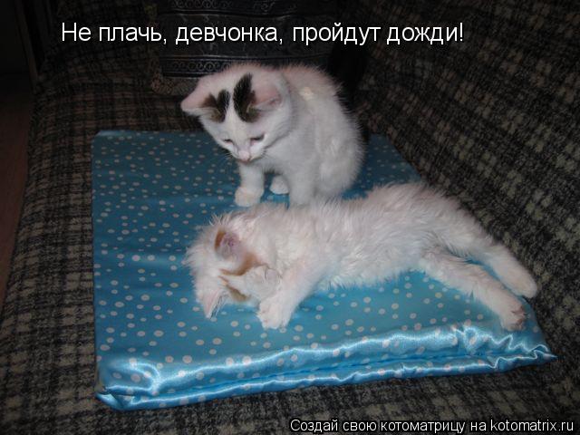 Плачь обложка. Печаль слезы. Картинка не плачь алиса. Не плачь девчонка картинки. Плачь души.