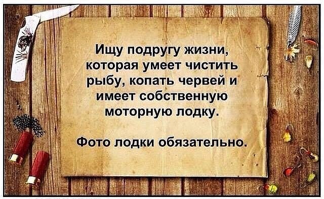 Ищу жену картинка прикольная, картинки пасхальные